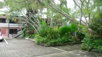 Cairns City Palms Hotels in 