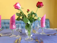 Hotel le Dauphin
