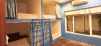 Last Summer Hostel Bar - Hostels