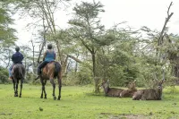 Lake Naivasha Sopa度假村 酒店