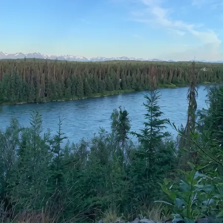 Cabin 1 on the Kenai River!