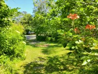 Beautiful beachside house and garden - 2 minutes from the beach! Hotels in Bermagui