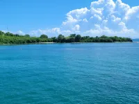 Casa Los Nietos on Hills of Culebra, Mountain and Airport Views . Hotels in Culebra