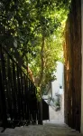 Casa Tulip - Bungalows