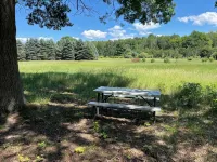 10 acres of woodland PRIVACY:  charming 3-bedroom home by Manistee w/ WiFi, AC - 4-Star