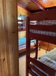 Cozy Adirondack cabin with private dock and kayaks, feet from Adirondack Lake - Chalets
