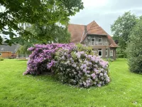 Spacious Vacation Apartment in a Farmhouse Between Varel and Dangast