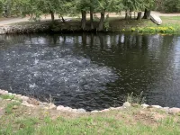 Silver creek cabin Hotels in Alcona County