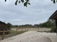 Gite Champêtre de Caractère au Mas Arnaud Équipée D'un Spa,et Accès à la Piscine - ห้องครัว