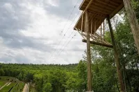 Pet Friendly-Mountain Getaway-Close 2 Everything - 4 stjerner