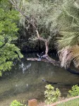 Warm Mineral Springs Cozy Waterfront Apartment - Homestays