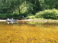 Cozy 4 season waterfront cottage in the white mountains on the bearcamp river! Hotels in Ossipee
