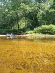Cozy 4 season waterfront cottage in the white mountains on the bearcamp river! - Beach