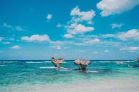 Yuki Suite Kourijima - Romantic