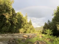 Mid century riverfront cabin. Hot tub, Pet friendly, Riverview