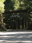 Family Getaway Ashford/Mt Rainier Nisqually Gate-Dan's Place - シャレー