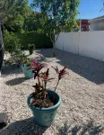 Endless summer in beautiful house with heated pool - 3 Sao