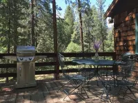 Ahwahnee-be Vintage Cabin - Three blocks to town!