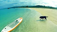Okinawan. Sweet Home. T-8