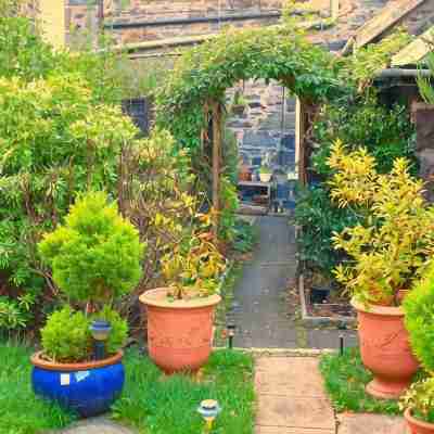Arbour Guest House Hotel Exterior