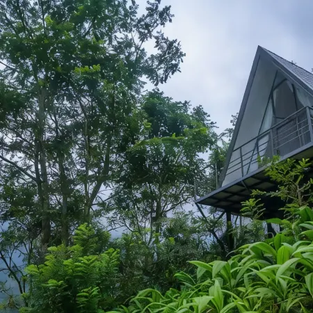 Rain Drops Wellness Villa Deniyaya, Sinharaja