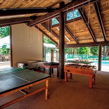 Cabin close to Bear Valley Game Room,Pets,EV Friendly Rec Center Access