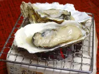 つるや旅館 鹿教湯温泉周辺のホテル