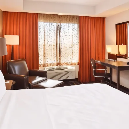 Holiday Inn AMARILLO WEST MEDICAL CENTER by IHG