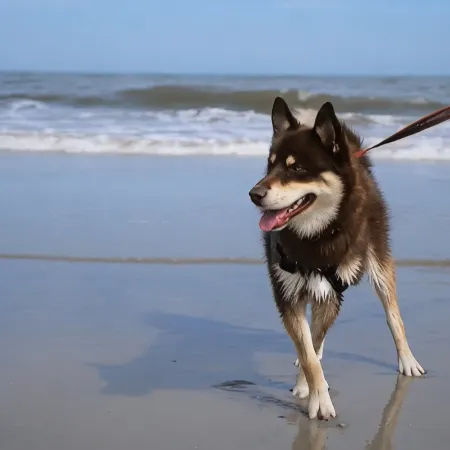 Family GET AWAY steps from the beach!