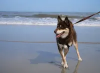 Family GET AWAY steps from the beach! - Strand