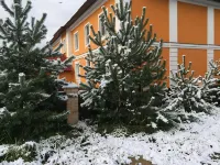 Gostevoy Dom Hotel Na Volge