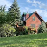 Sweet Cabin 10 min. away from Ski area - Chalets