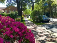 The Craddock - Tufts Home & Antique Carriage House - 6BR 5.5 Baths - Sleeps 12+ - Landsted