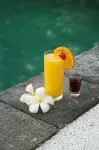 Royal Regantris Villa Karang - bar