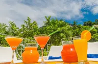 Les Jardins de Rio Boutique Hotel - guesthouses