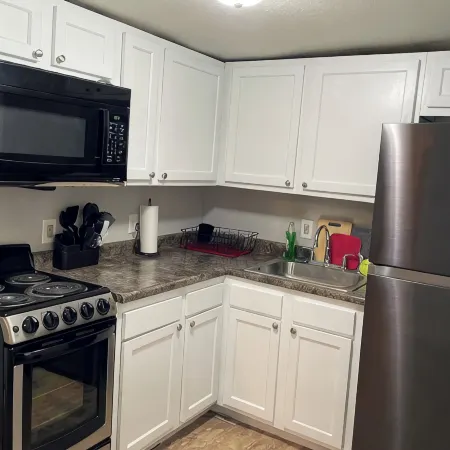 Cozy 1 Bedroom Located Downtown/Close to Soaring Eagle/CMU