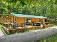 Newly Updated Luxury Cabin on Beaver Lake - Chalets