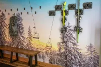 Modern, Sauna, Near Whiteface/Lake Placid, Dogs, Mountain Views - Hytter