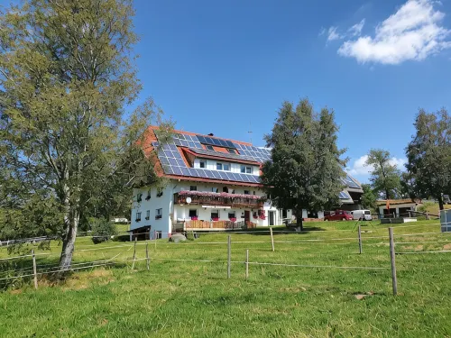 Cozy Vacation Apartment Just 3 km from Schluchsee - Ideal for Families & Couples - Homestays