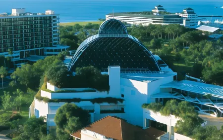 Cairns City Palms