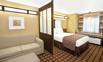 Microtel Inn & Suites by Wyndham Cartersville