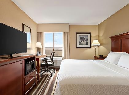 Hampton Inn Washington-Dulles Int'l Airport South