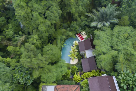 Jungle Haven Resort Central Ubud