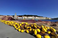 Hotel Sur le Quai Hotels in Banyuls-sur-Mer