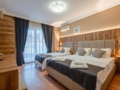Platanus Hotel Altınoluk エドレミトのホテル