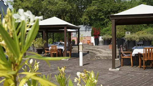 Hotel Olivier Hotels in Bour