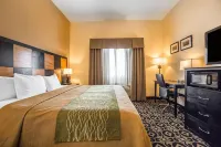 컴포트 인 발라드-루스벨트 루즈벨트 호텔