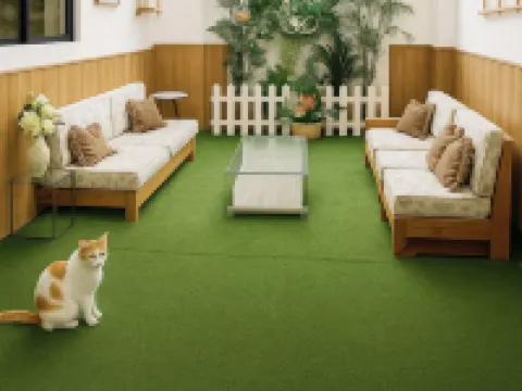 Costa Verde Hostal โรงแรมในมันตา