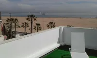 El Globo - Ocean View