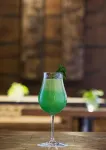 Regenta Central Hotel & Convention Centre Nagpur - bar